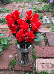 The Naughtys™ - Indian Paintbrush on Barbed Wire Stem