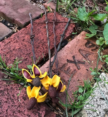 The Naughtys™ - Mexican Hat or Cone Flower Wildflower on Barbed Wire Stem