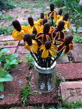 The Naughtys™ - Mexican Hat or Cone Flower Wildflower on Barbed Wire Stem