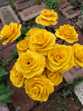 The Naughtys™ - Yellow Rose of Texas on Barbed Wire Stem