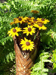 The Naughtys™ - Black Eyed Susan Wildflower on Barbed Wire Stem