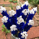 The Naughtys™ - Texas bluebonnet with barbed wire stem